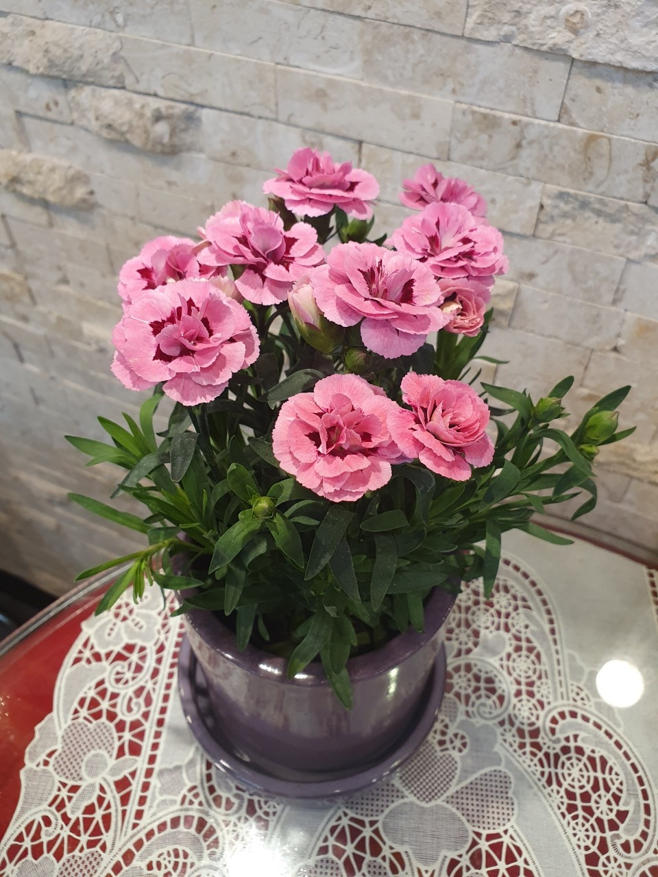 클릭시 확대 클릭시 확대