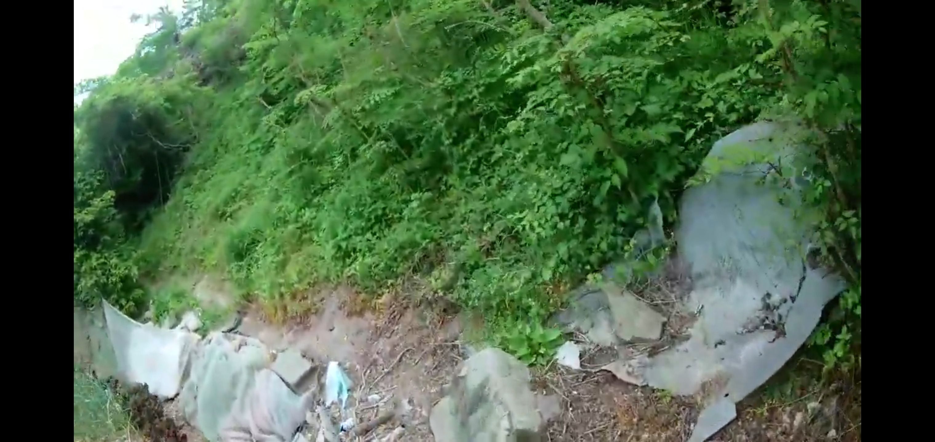 클릭시 확대 클릭시 확대